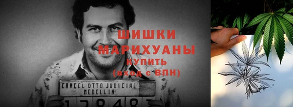 прущие крисы Карпинск