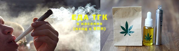ГАЛЛЮЦИНОГЕННЫЕ ГРИБЫ Козловка