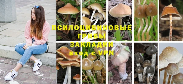 прущие крисы Карпинск