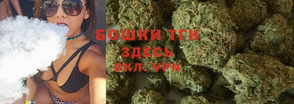 прущие крисы Карпинск