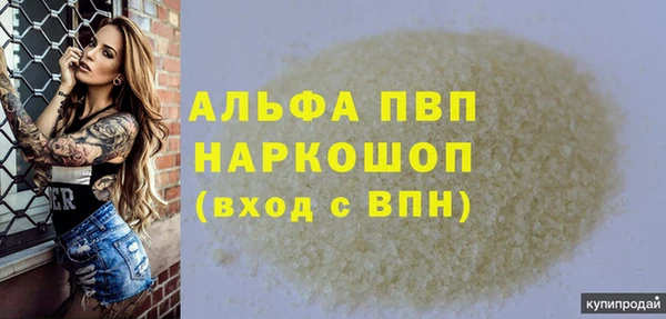ГАЛЛЮЦИНОГЕННЫЕ ГРИБЫ Козловка