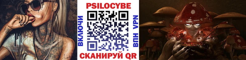 наркота  Чаплыгин  Галлюциногенные грибы Psilocybe 